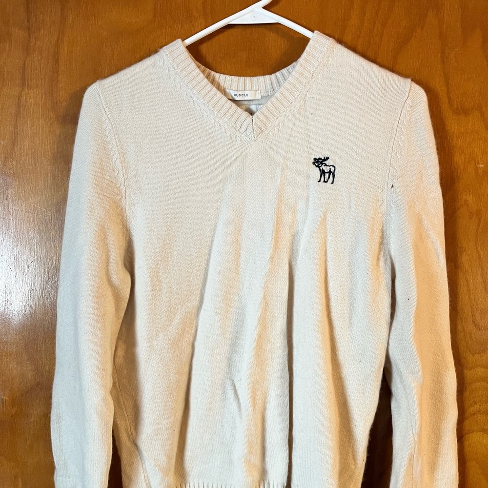 Abercrombie cashmere muscle sweater